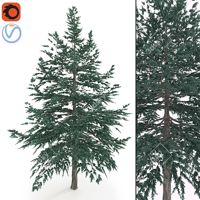 High Poly Conifer Tree: Corona Render, 3Ds Max, FBX 3D model image 1
