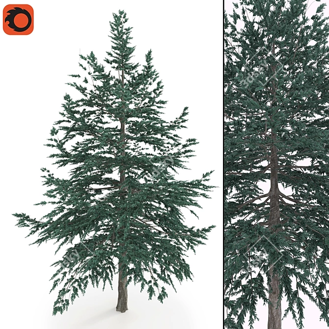  High Poly Conifer Tree: Corona Render, 3Ds Max, FBX 3D model image 2