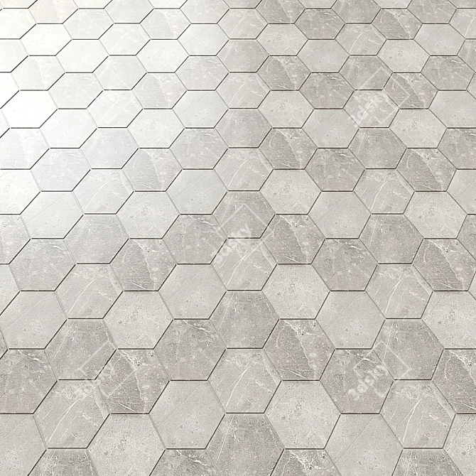 1. Italon Sharm Evo Kalakata Hexagon Tiles
2. Italon Sharm Evo Statuario Hexagon Tiles
3 3D model image 4