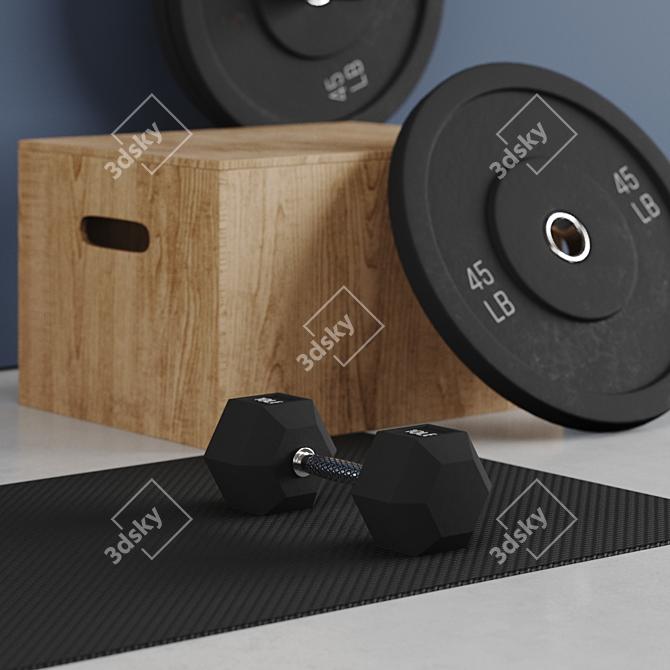 Home Fitness Set: Bars, Bench, Weights 3D model image 4