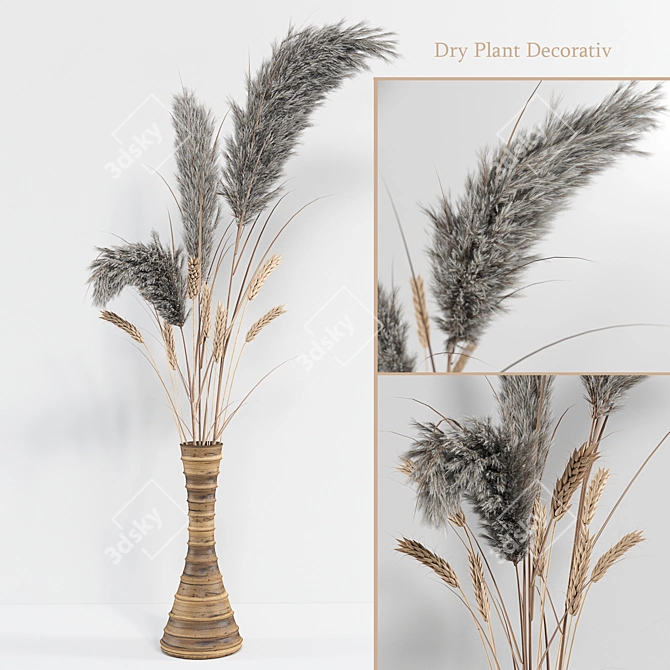 Natural Dry Plant Decor for Home 3D model image 1