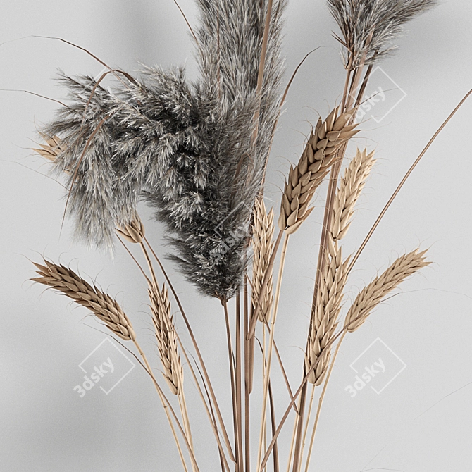 Natural Dry Plant Decor for Home 3D model image 2