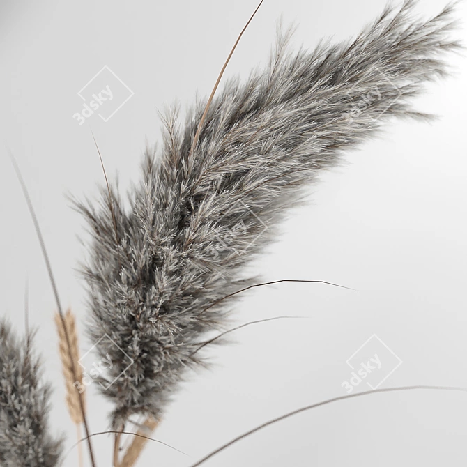 Natural Dry Plant Decor for Home 3D model image 3