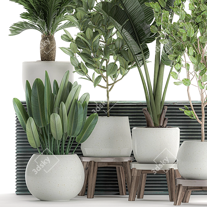 Tropical Plant Collection: Exotic Indoor Plants in White Pots 3D model image 3