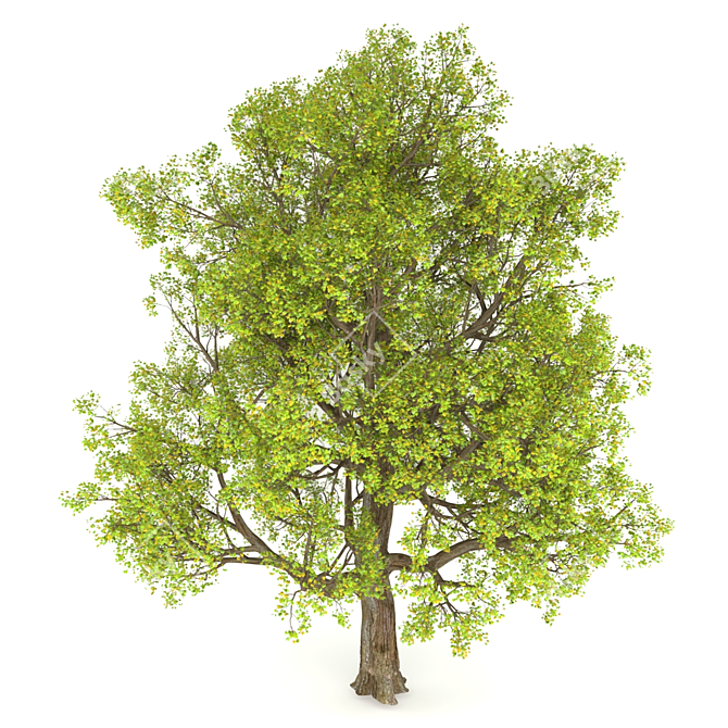 Giant Berry Tree Harvest 3D model image 1