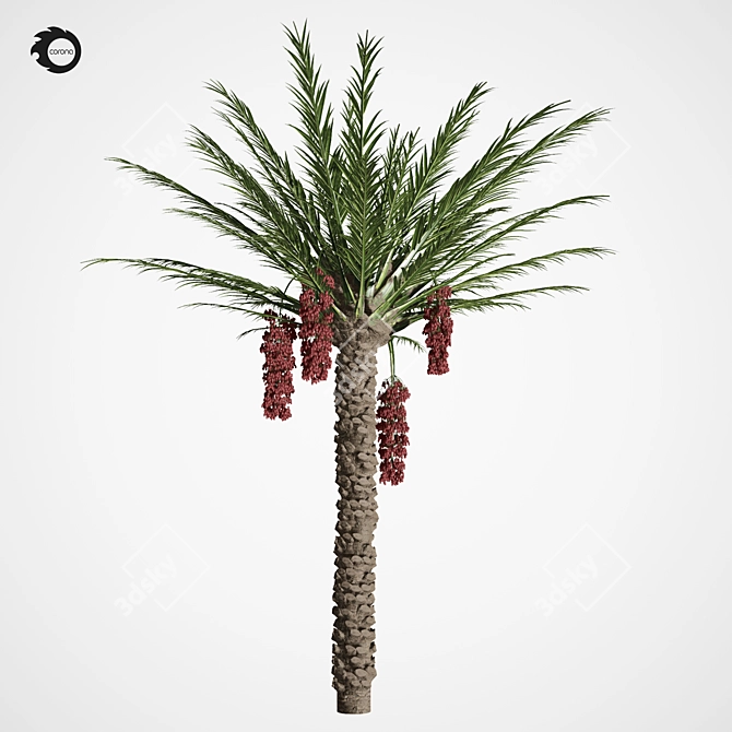Tropical Paradise Palm Tree 3D model image 2