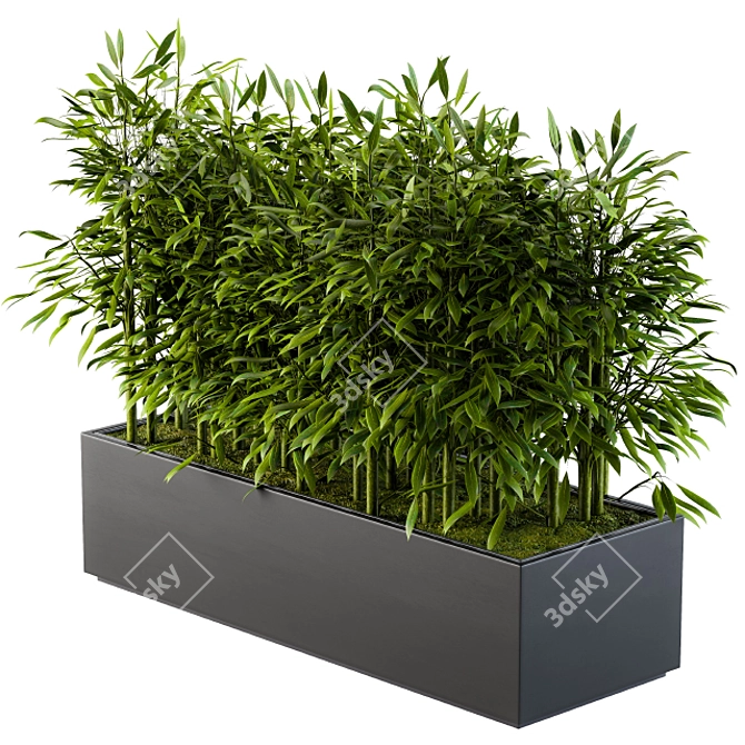 Natural Bamboo Plant Set 3D model image 1