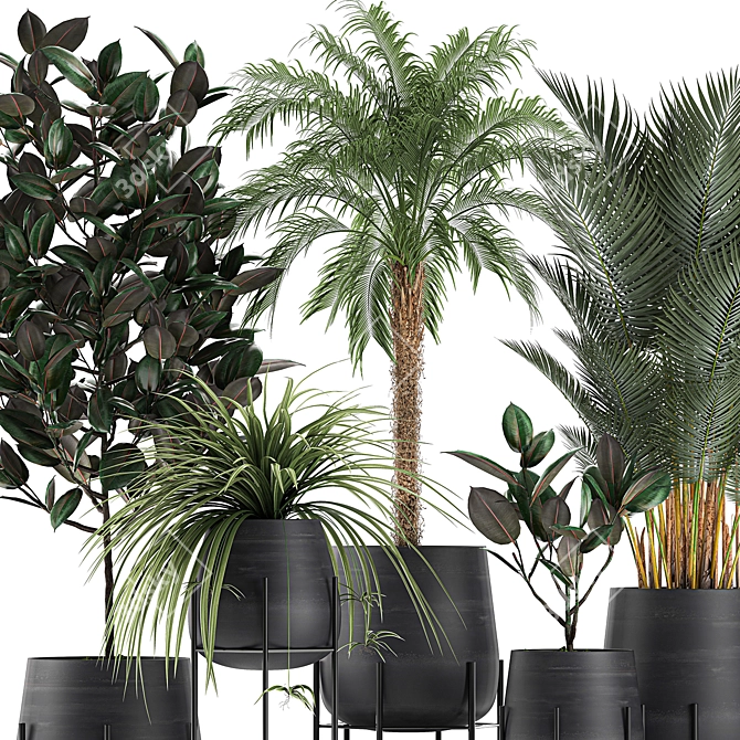 Tropical Indoor Plant Collection 3D model image 2