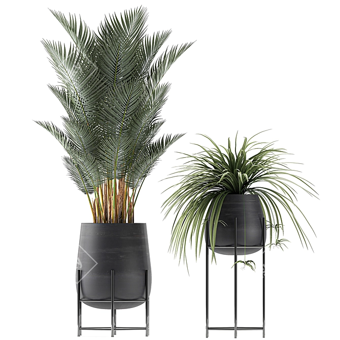 Tropical Indoor Plant Collection 3D model image 3