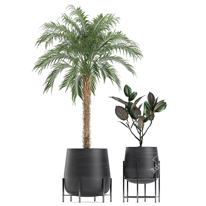 Tropical Indoor Plant Collection 3D model image 4