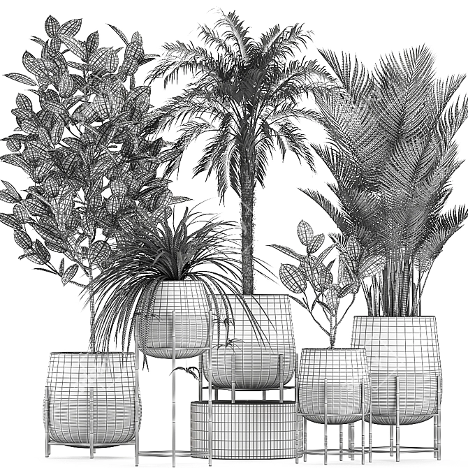 Tropical Indoor Plant Collection 3D model image 5