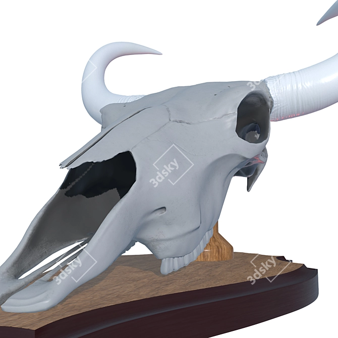 Yak Skull Medallion: 10 Texture Options 3D model image 10