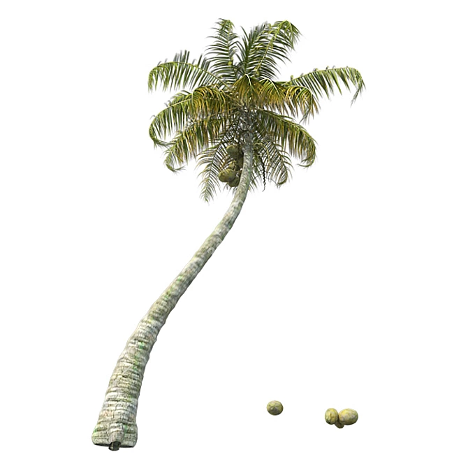 Exquisite Chinese Fan Palm: Detailed, Optimized, Realistic 3D model image 3