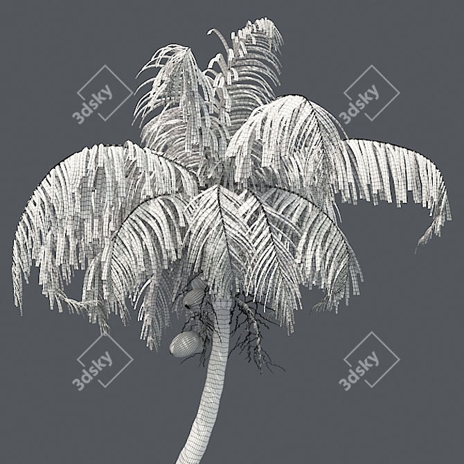 Exquisite Chinese Fan Palm: Detailed, Optimized, Realistic 3D model image 5