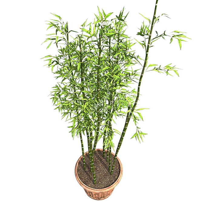 Natural Bamboo Cluster Pot | Eco-Friendly Indoor Plant Holder 3D model image 2