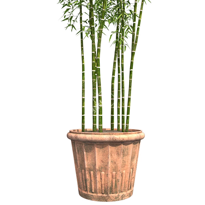 Natural Bamboo Cluster Pot | Eco-Friendly Indoor Plant Holder 3D model image 4