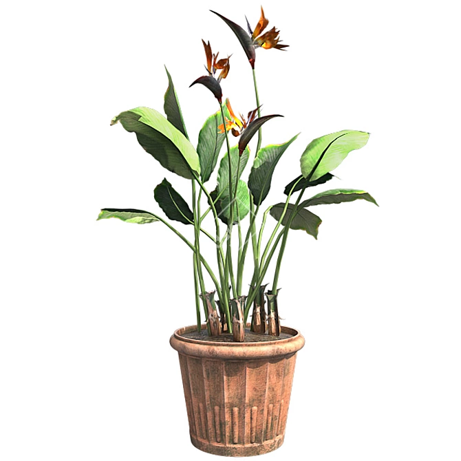 Bamboo Harmony Pot 3D model image 1