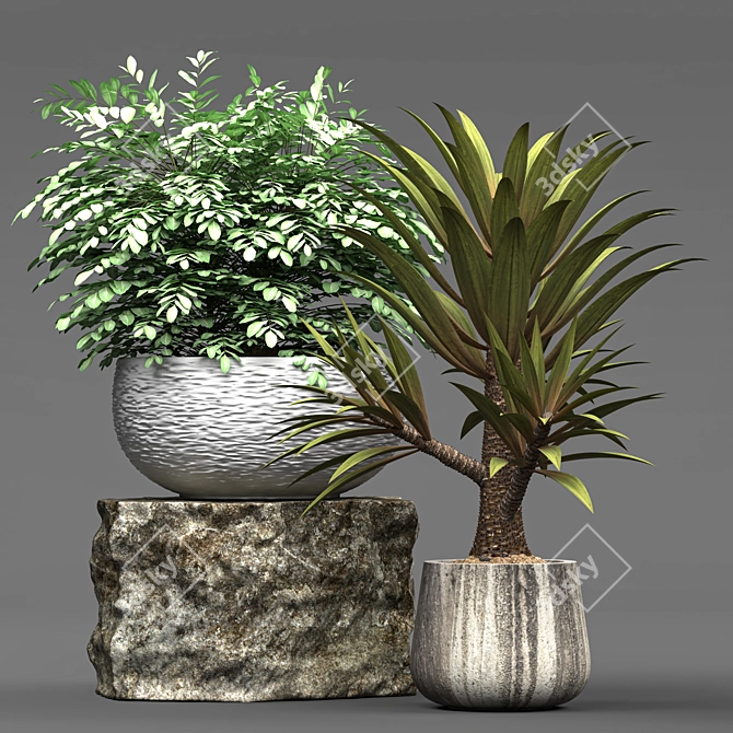 Botanical Paradise: Deluxe Plant Collection 3D model image 1