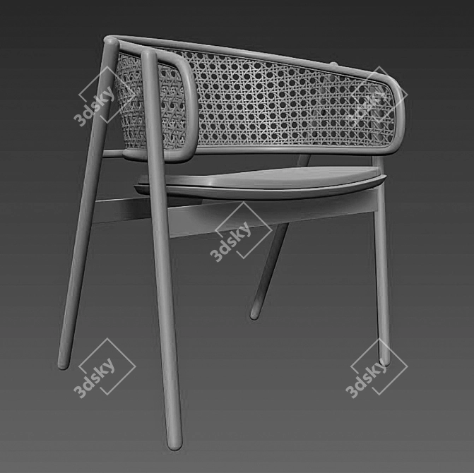 Sleek Cane Rattan Chair 3D model image 4