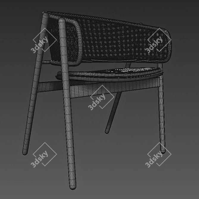 Sleek Cane Rattan Chair 3D model image 5