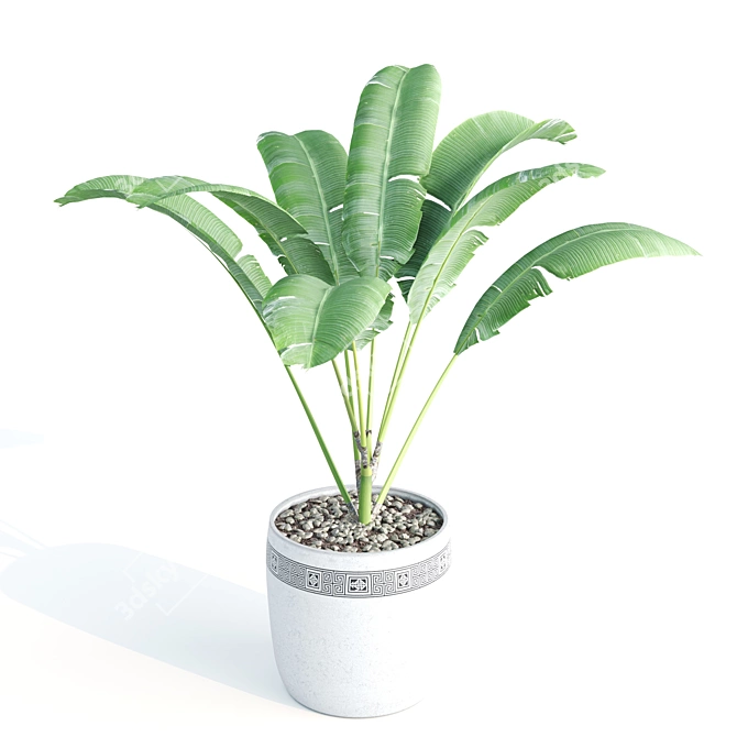 Green Oasis: Decorative Indoor Plant Set 3D model image 5