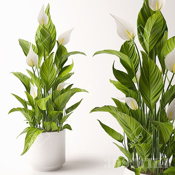 Pot of Blooms 3D model image 1