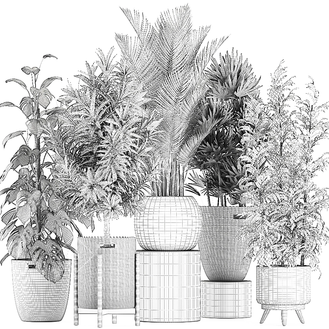 Indoor Plant Collection: Monstera, Bamboo Trees, Raphis Palm 3D model image 4