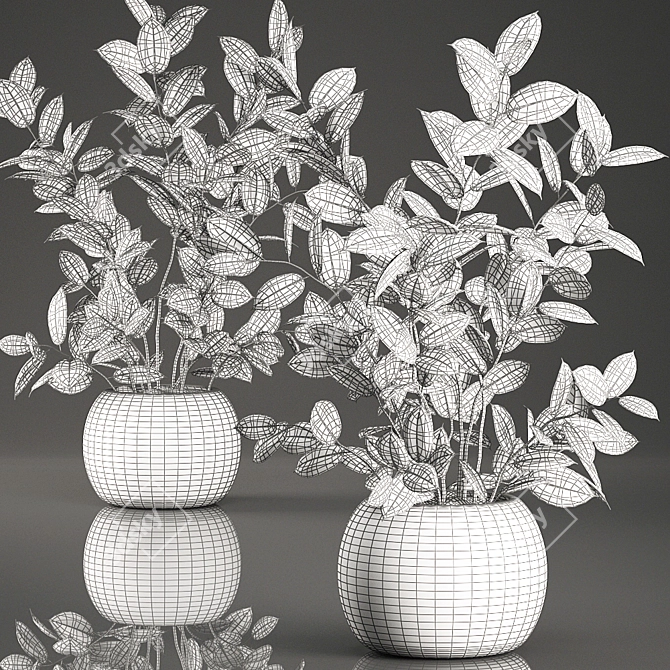 Indoor Plant Collection: Ficus Elastica in Rattan Basket 3D model image 4