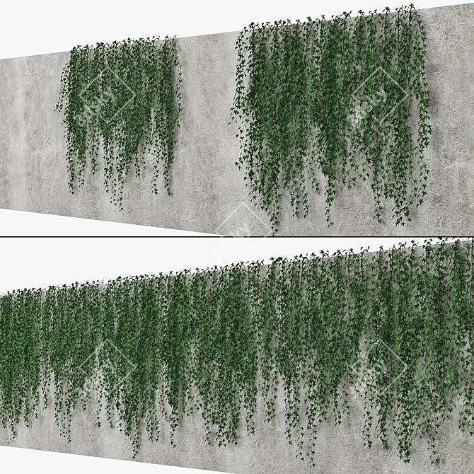 Mirror Ivy Wall: Versatile and Stunning 3D model image 1