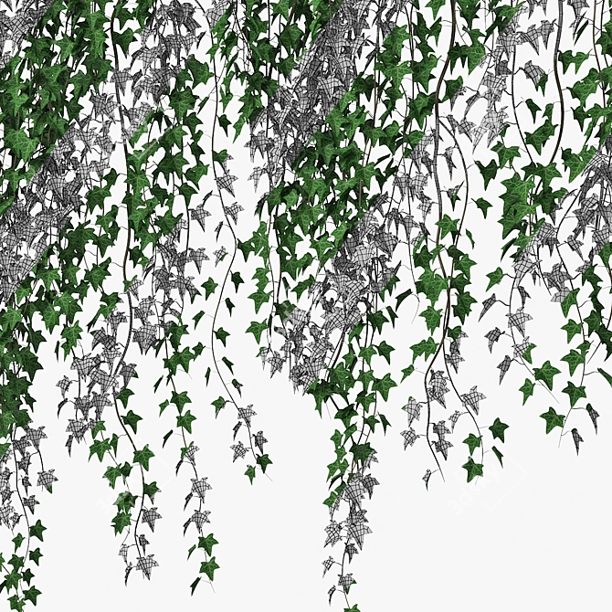 Mirror Ivy Wall: Versatile and Stunning 3D model image 5