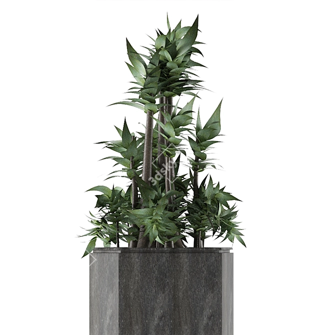 Modern Exotic Palm Tree: House Plant 20 3D model image 2