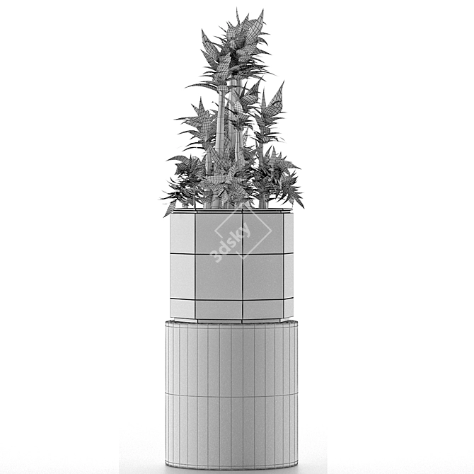 Modern Exotic Palm Tree: House Plant 20 3D model image 5