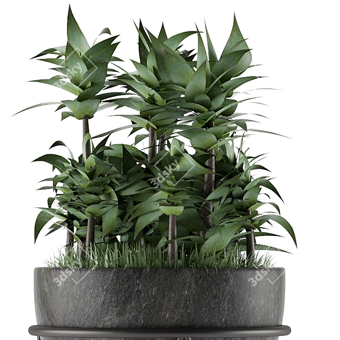 Tropical Palm Tree Decor 3D model image 2