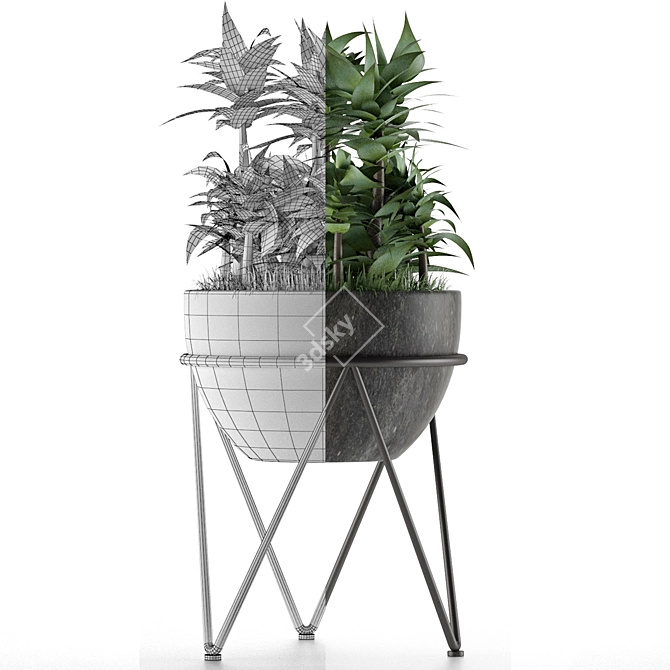 Tropical Palm Tree Decor 3D model image 4