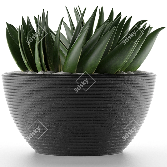 Title: Exotic Palm House Plant 3D model image 2
