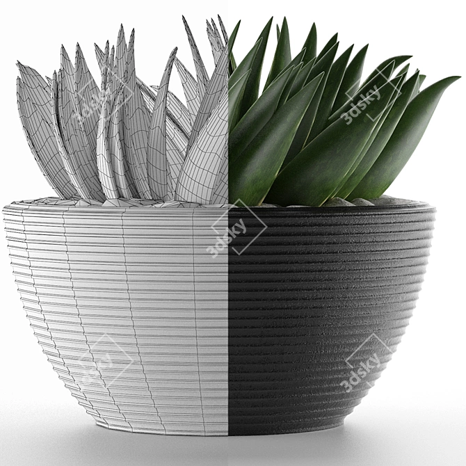 Title: Exotic Palm House Plant 3D model image 4
