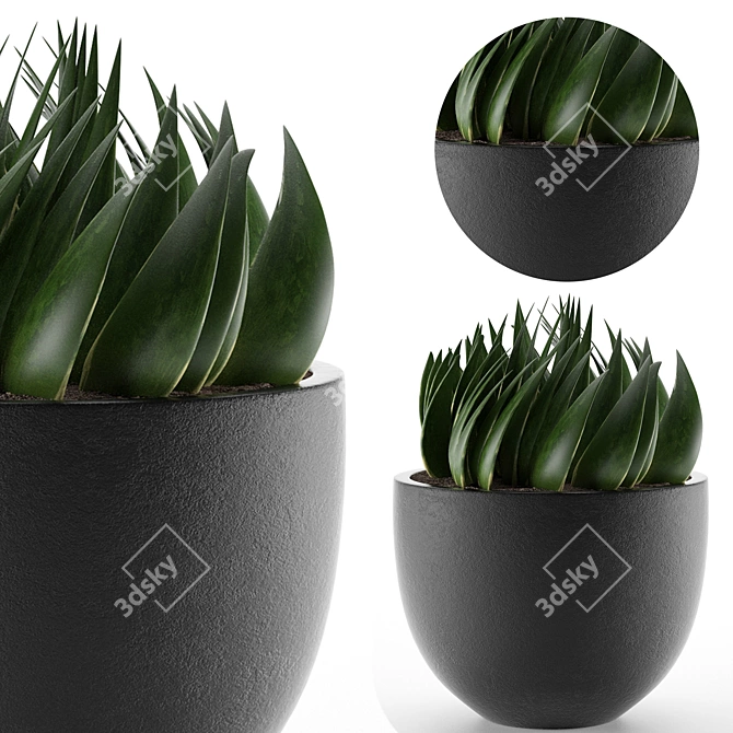 Exotic Palm Tree Pot: Office and Outdoor Decor 3D model image 1