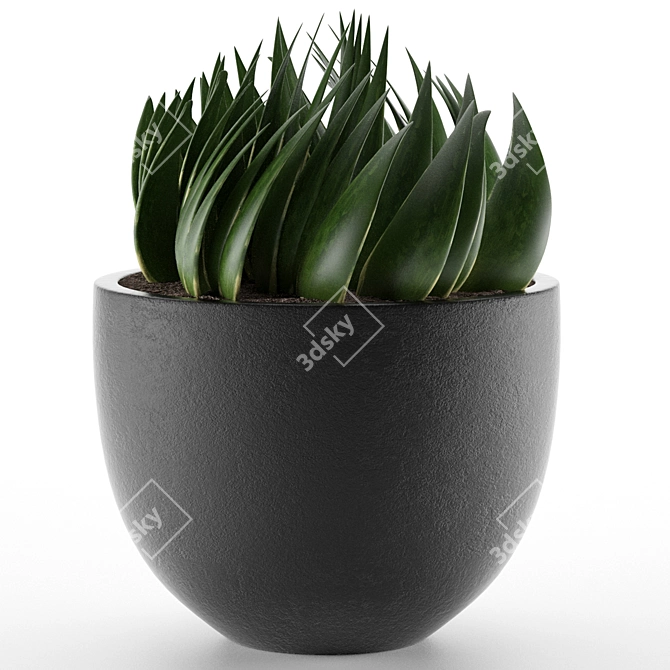 Exotic Palm Tree Pot: Office and Outdoor Decor 3D model image 2