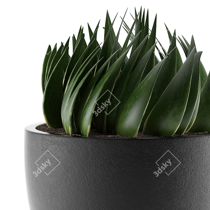 Exotic Palm Tree Pot: Office and Outdoor Decor 3D model image 3