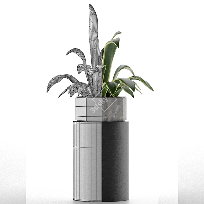 Exotic Palm House Plant 3D model image 4