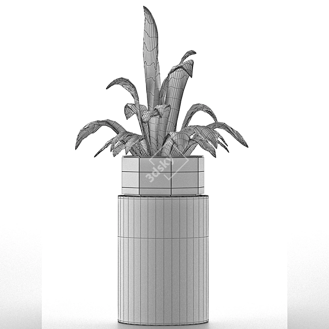 Exotic Palm House Plant 3D model image 5