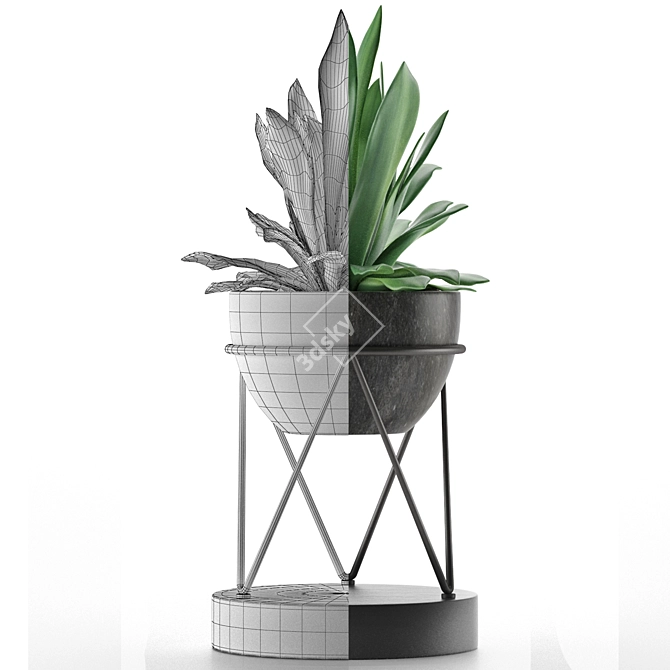 Exotic Palm: Modern Concrete House Plant 3D model image 4