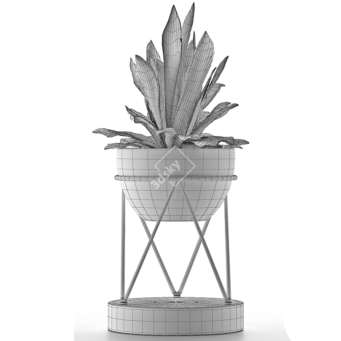 Exotic Palm: Modern Concrete House Plant 3D model image 5