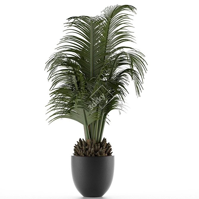 Exotic Palm Tree - Perfect Office Decor 3D model image 1