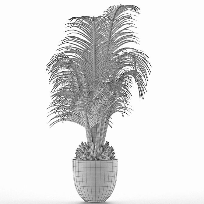 Exotic Palm Tree - Perfect Office Decor 3D model image 4