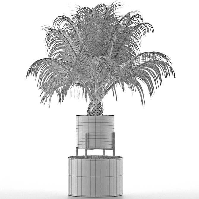 Exotic Palm Tree: House Plant 31 3D model image 5