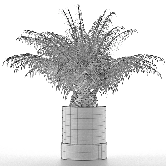 Tropical Palm Tree Decor 3D model image 5