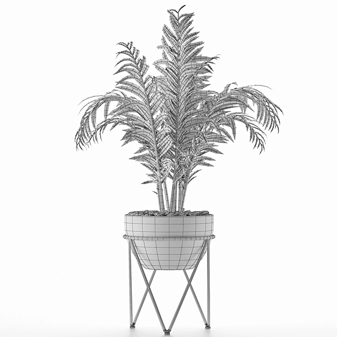 Exotic Palm Tree House Plant 3D model image 5