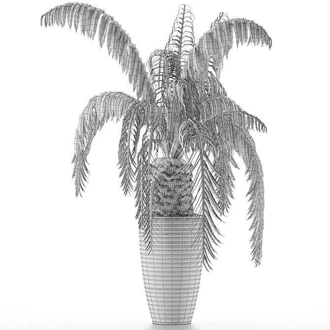 Exotic Palm Tree: House Plant 41 3D model image 5