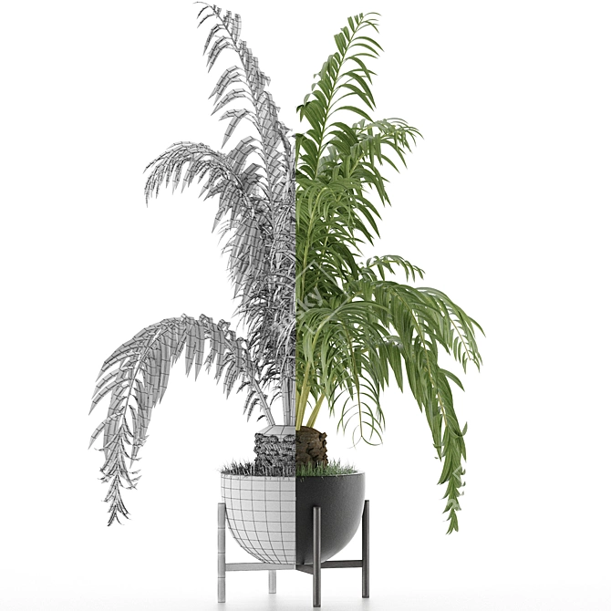 Exotic Palm: House Plant 42 3D model image 3